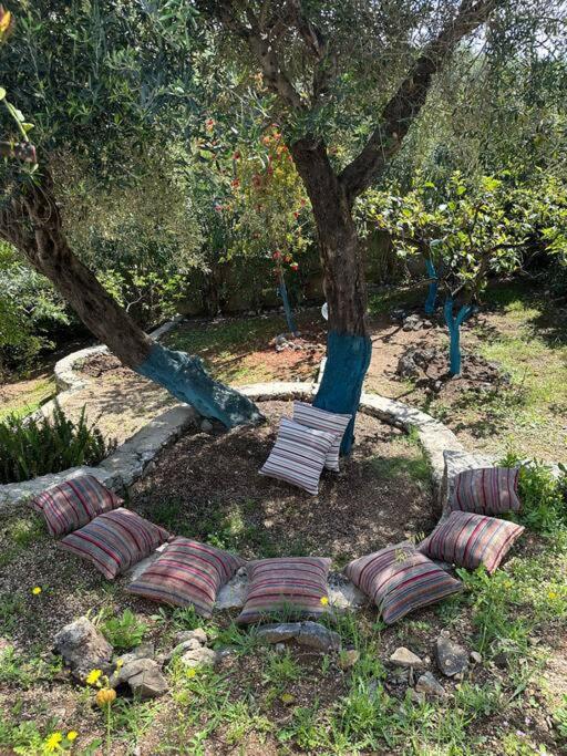 Mount Minis - Casa Bruno Villa Sivota  Bagian luar foto