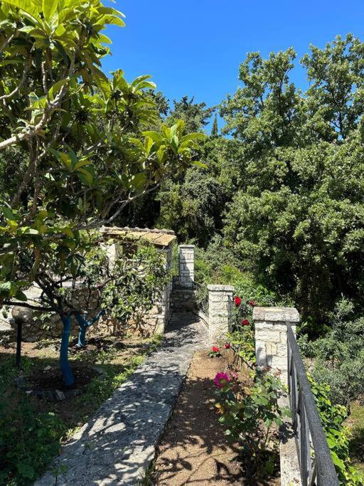 Mount Minis - Casa Bruno Villa Sivota  Bagian luar foto
