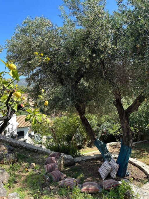 Mount Minis - Casa Bruno Villa Sivota  Bagian luar foto